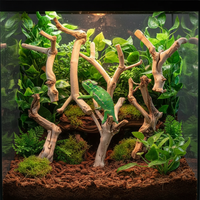 Tronc de bois flotté taille 25-30 cm