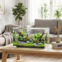 Aquarium sans cadre installé dans un salon