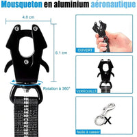 Laisse réfléchissant et anti-traction pour chien - Promenades sûres et confortables