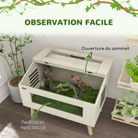 Terrarium en verre aménagé pour reptile