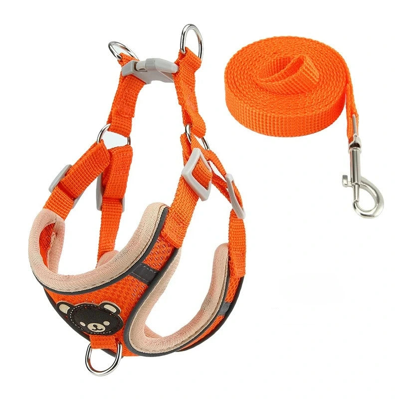 Harnais coloris orange
