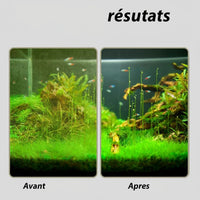 Détail de l'éponge de la brosse de nettoyage aquarium