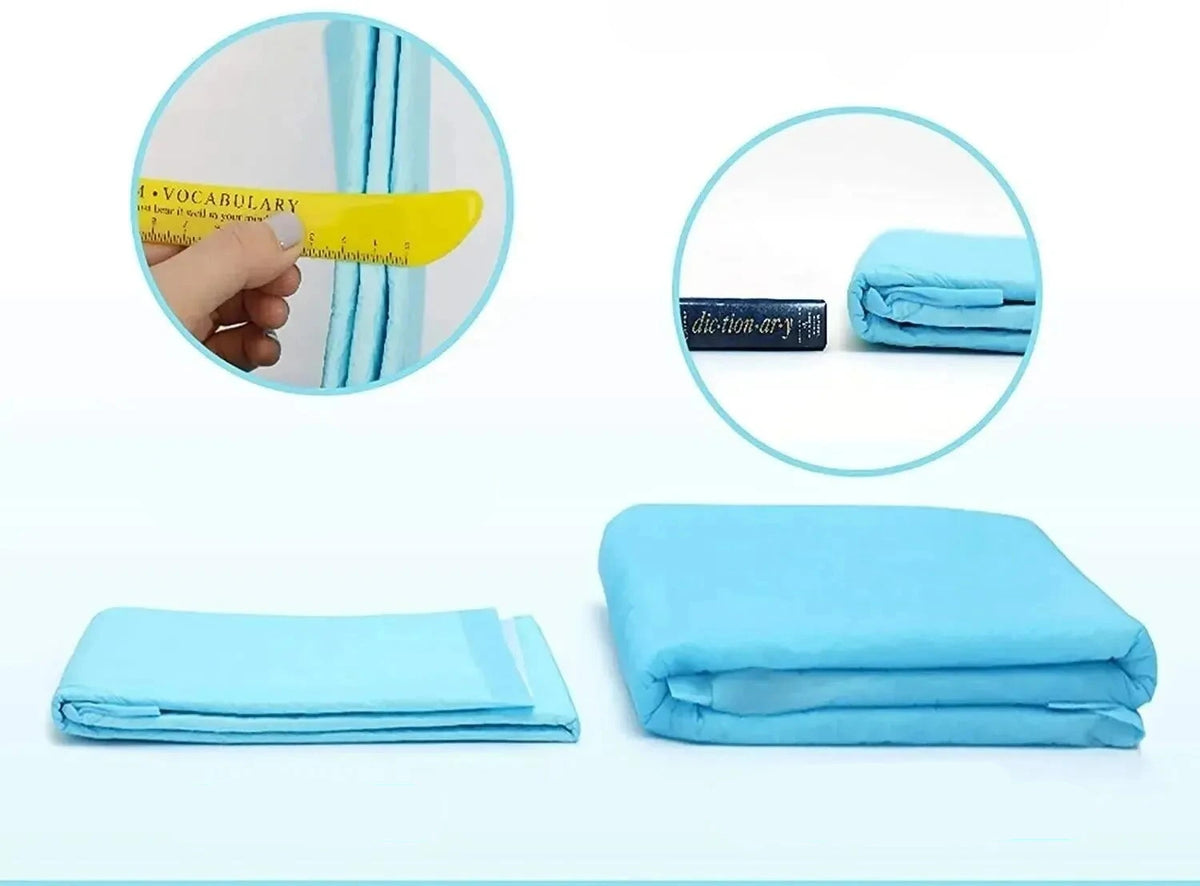 Couchage bleu pour chien