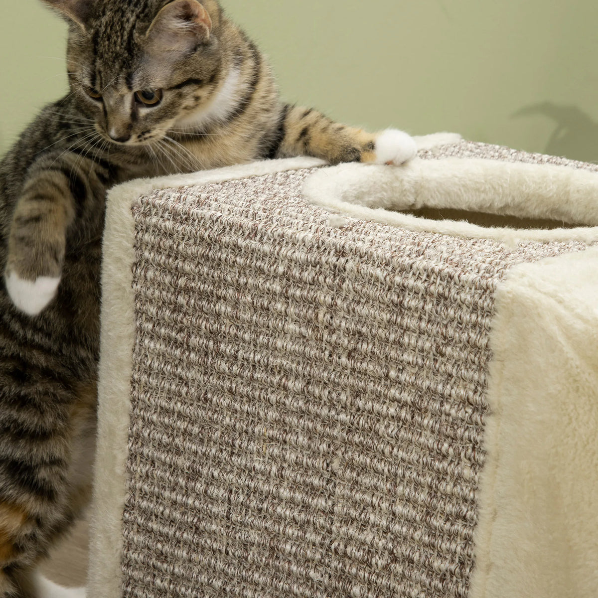 Niches du tunnel en sisal pour chat