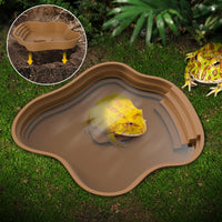 Bassin polyvalent pour tortue et grenouille