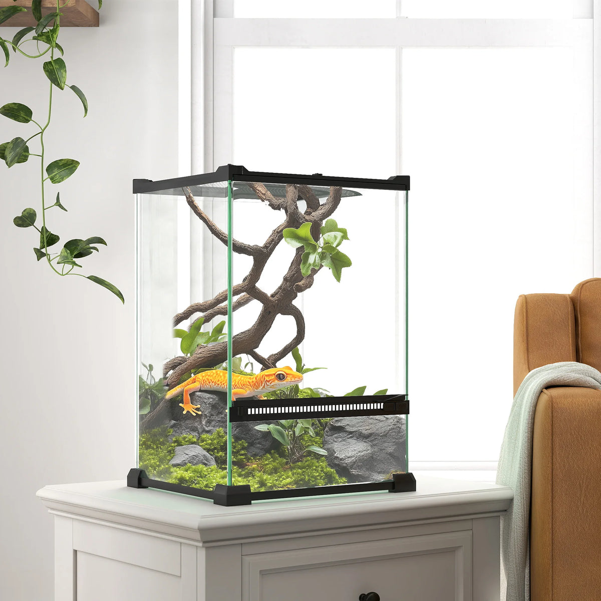 Terrarium en verre pour reptiles - vue de côté