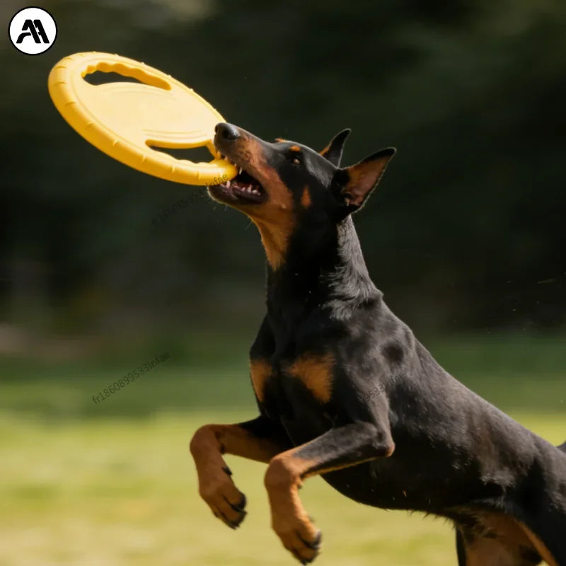 Frisbee indestructible pour chien - utilisation en extérieur
