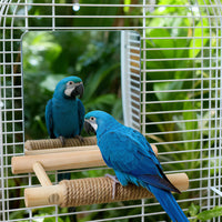Perchoir en corde de jute avec miroir pour oiseau