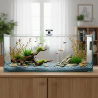 Aquarium rectangulaire en verre design minimaliste
