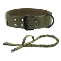 Laisse ajustable pour chien en situation, vue 2