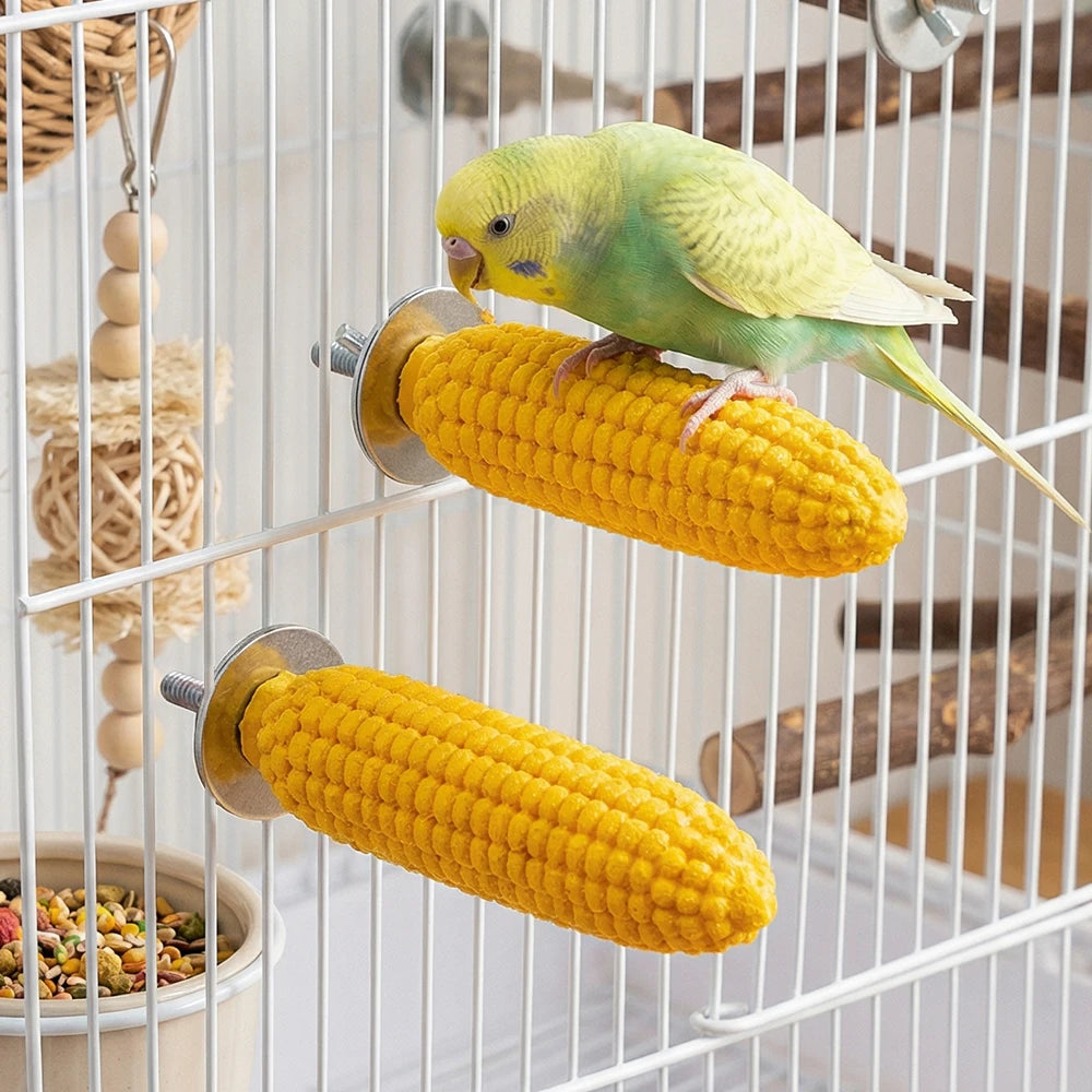 Perchoir maïs pour oiseau - vue d'ensemble