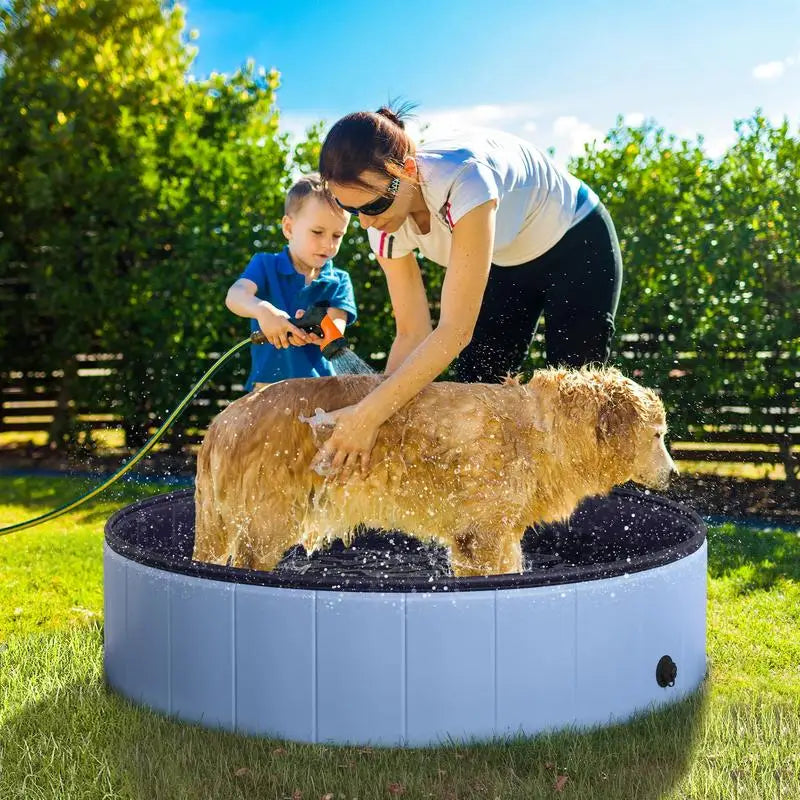 Base anti-dérapante de la piscine pour chien