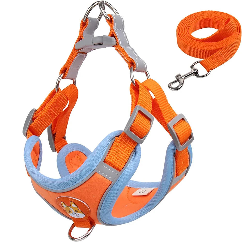 Harnais coloris orange