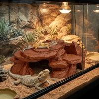 Ornement rocher 3D installé en aquarium