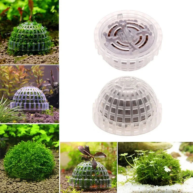 Support pour boule de mousse aquarium - vue d'ensemble