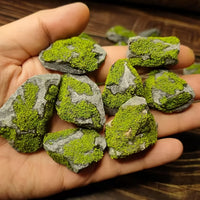 Ornement décoratif effet mousse forestière