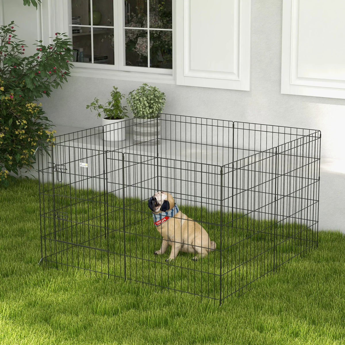 Enclos modulable installé en intérieur avec un animal