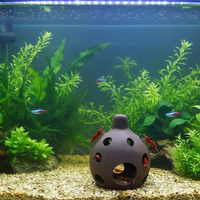 Abri en céramique pour aquarium, vue arrière