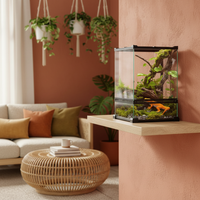 Petit terrarium en verre pour reptiles 12L - vue d'ensemble