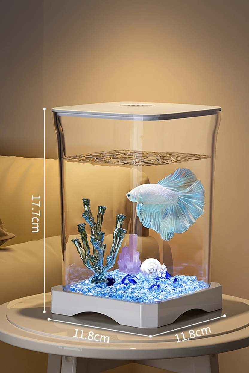 Kit aquarium débutant, coloris blanc, dimensions